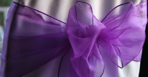 Organza Sash